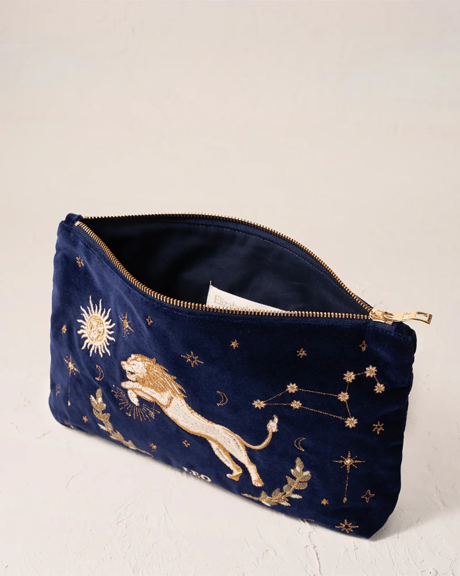 Leo Navy Everyday Pouch