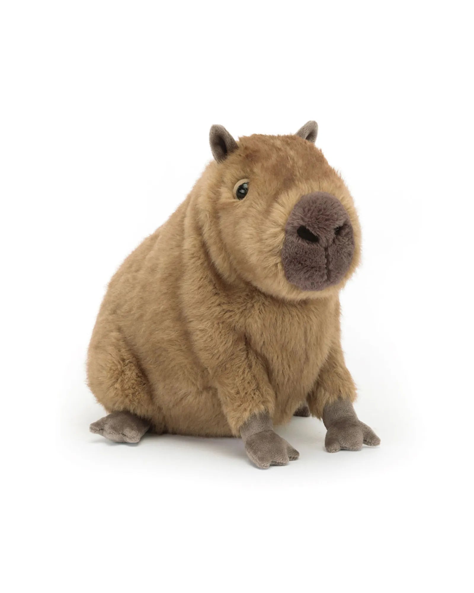 Clyde Capybara