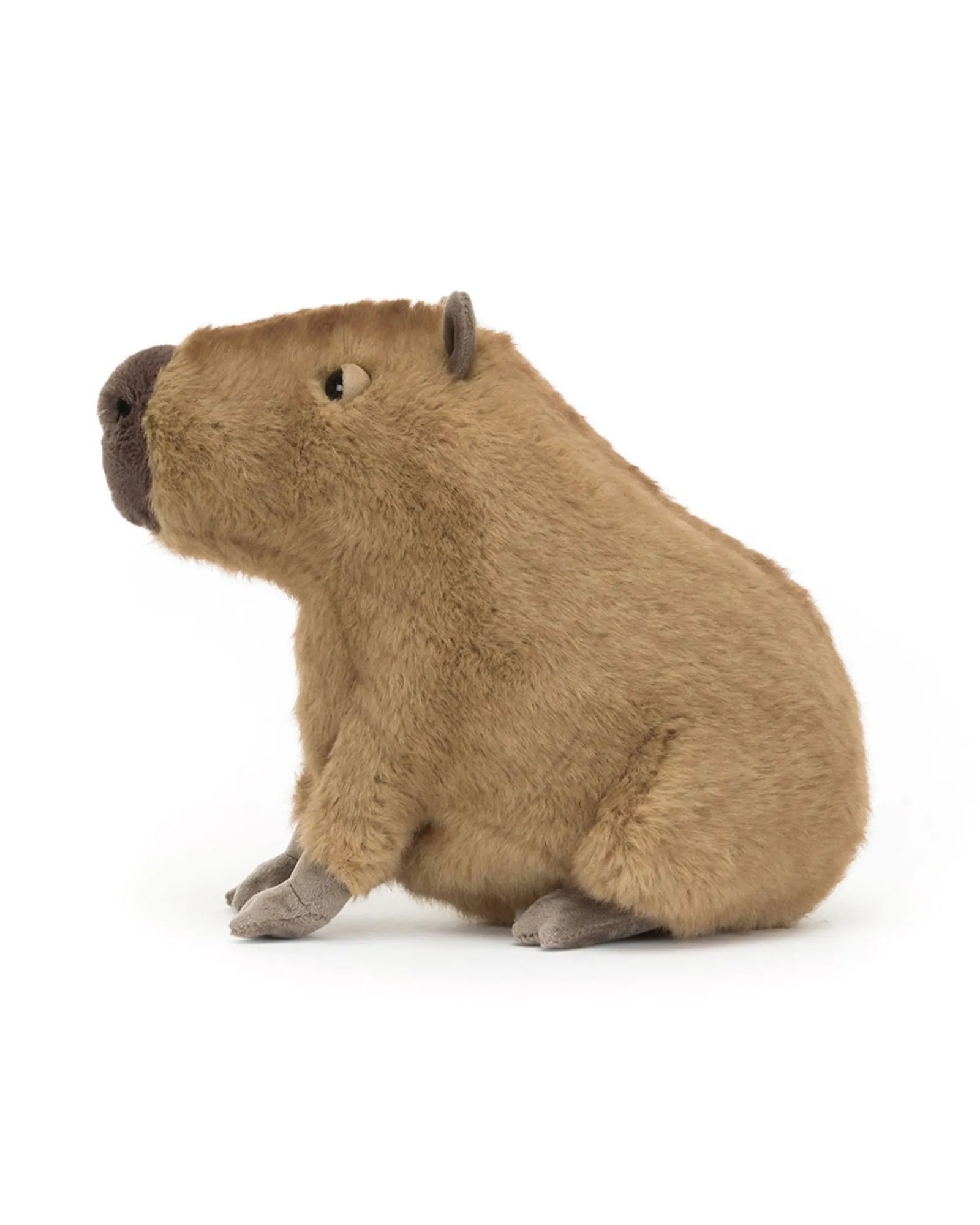 Clyde Capybara