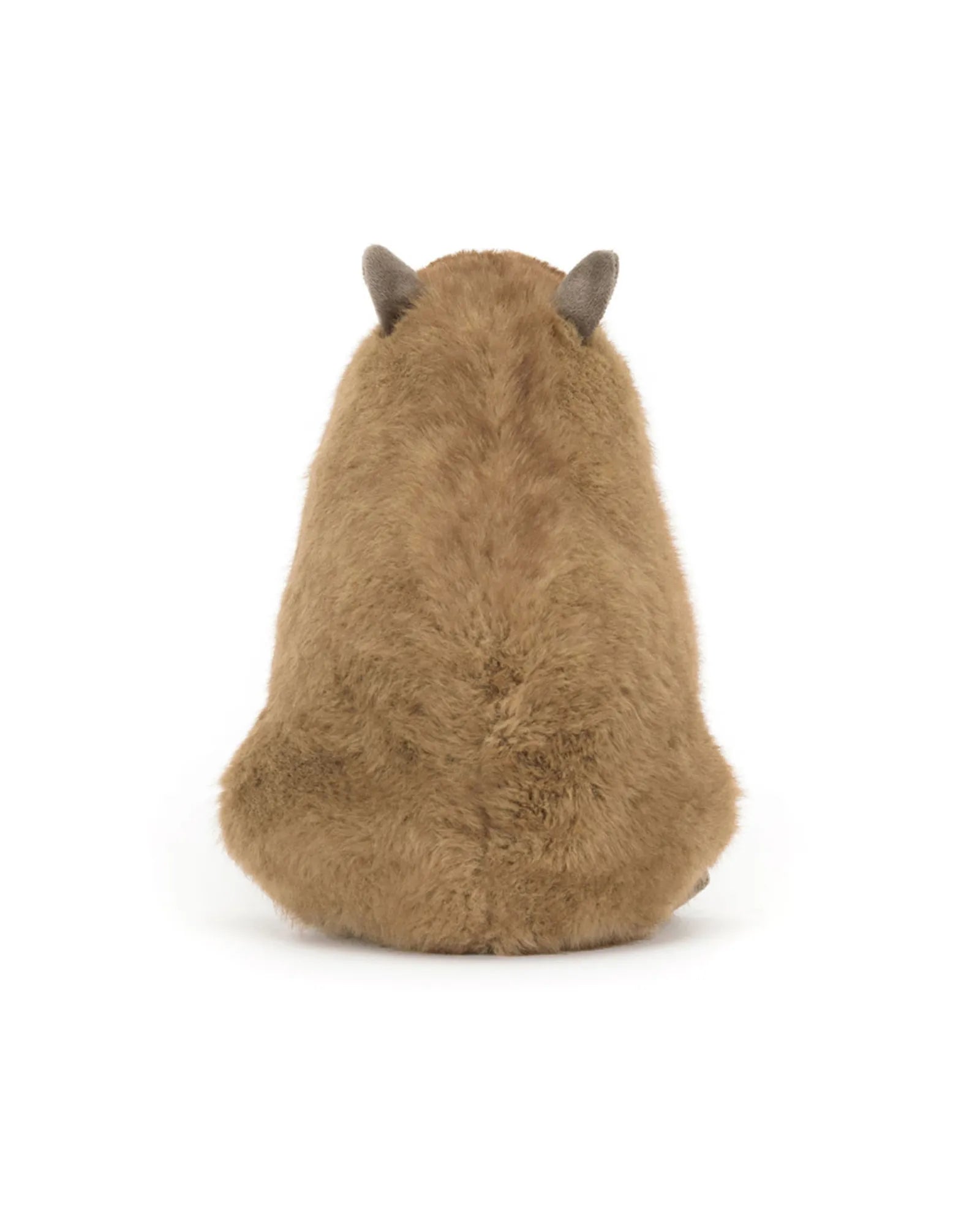 Clyde Capybara