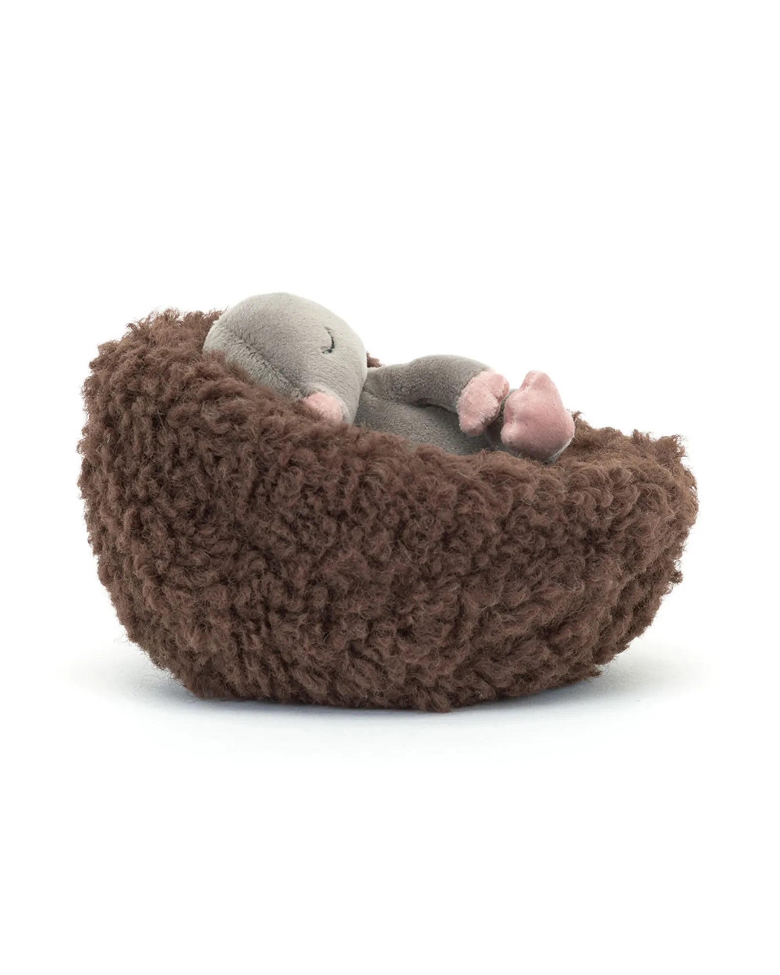 Hibernating Mouse